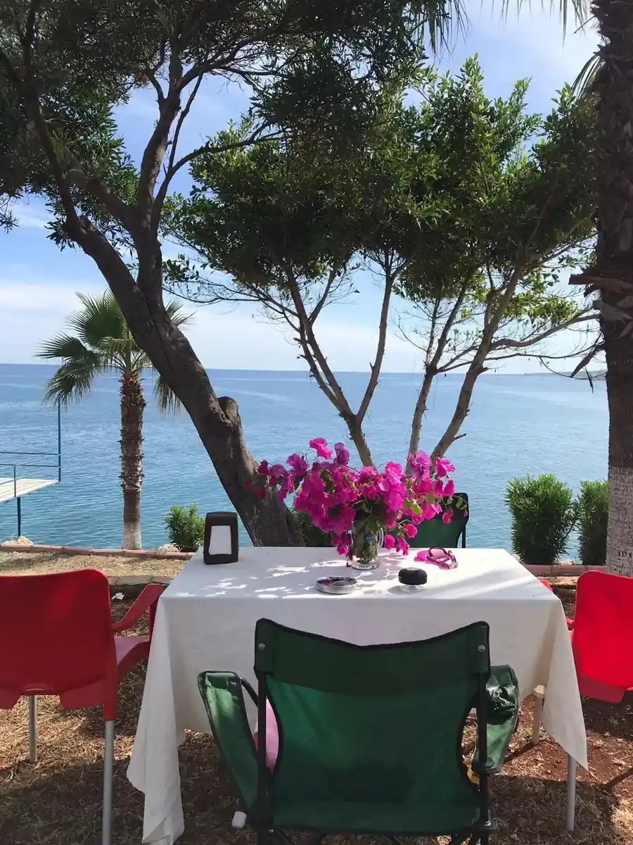 Dinner table under the trees by the sea
